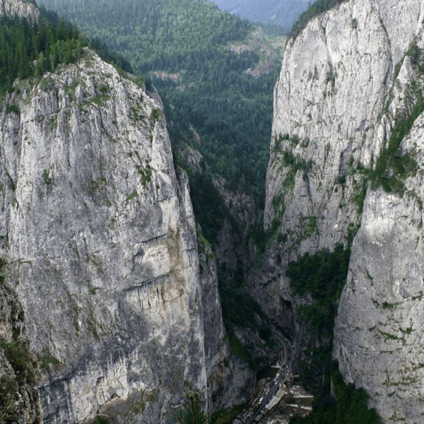 n4-44C75038D-E0A5-719B-5632-EA237F23E8C7.jpg