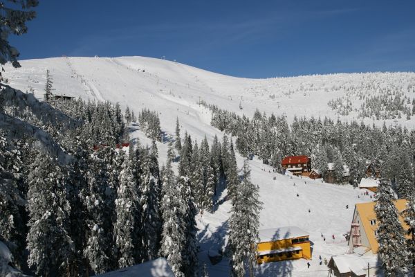 dragobrat-057C6505E99-67C3-7C5F-DE0F-AC52310DE8BB.jpg